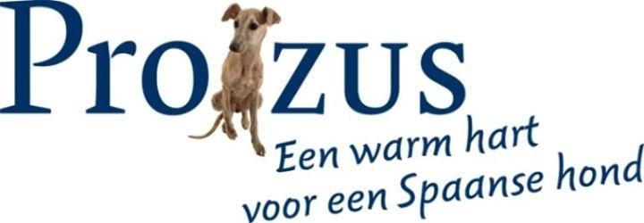 STICHTING PROZUS