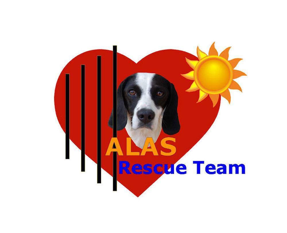 STICHTING ALAS RESCUE TEAM