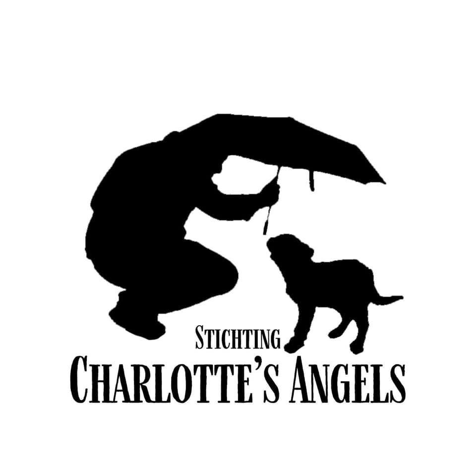 STICHTING CHARLOTTE’S ANGELS