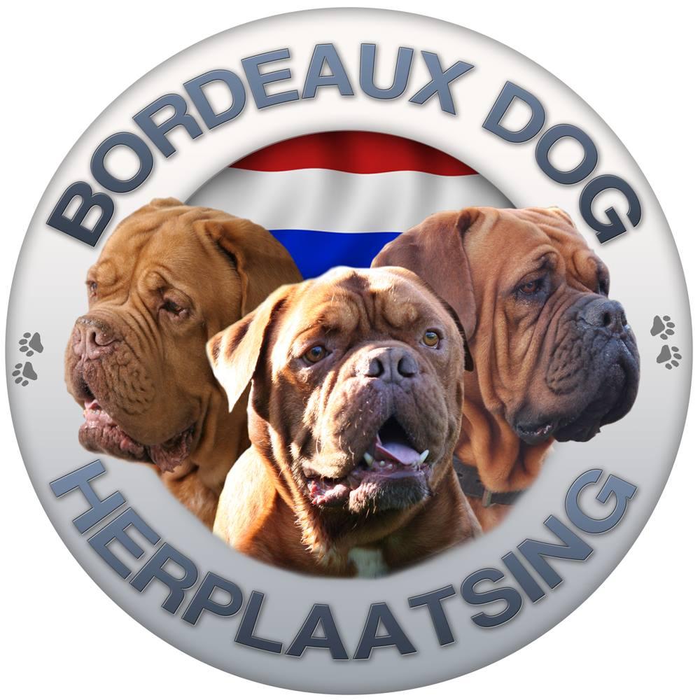 BORDEAUXDOG HERPLAATSING