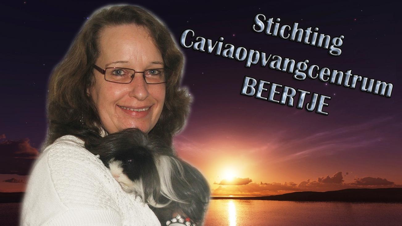 STICHTING CAVIAOPVANGCENTRUM BEERTJE