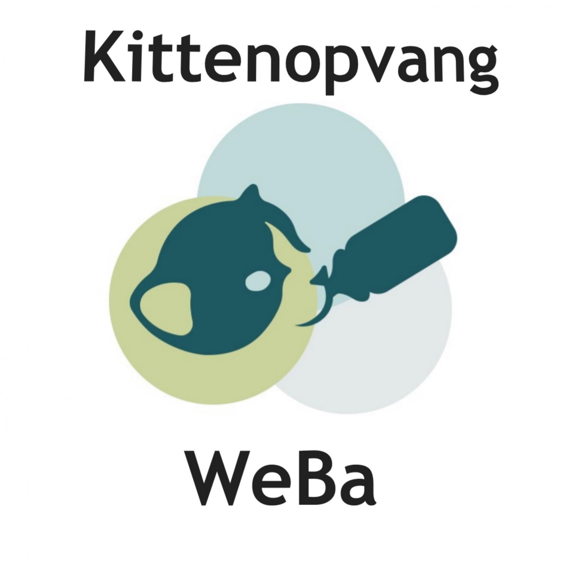 STICHTING KITTENOPVANG WEBA