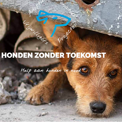 STICHTING HONDEN ZONDER TOEKOMST