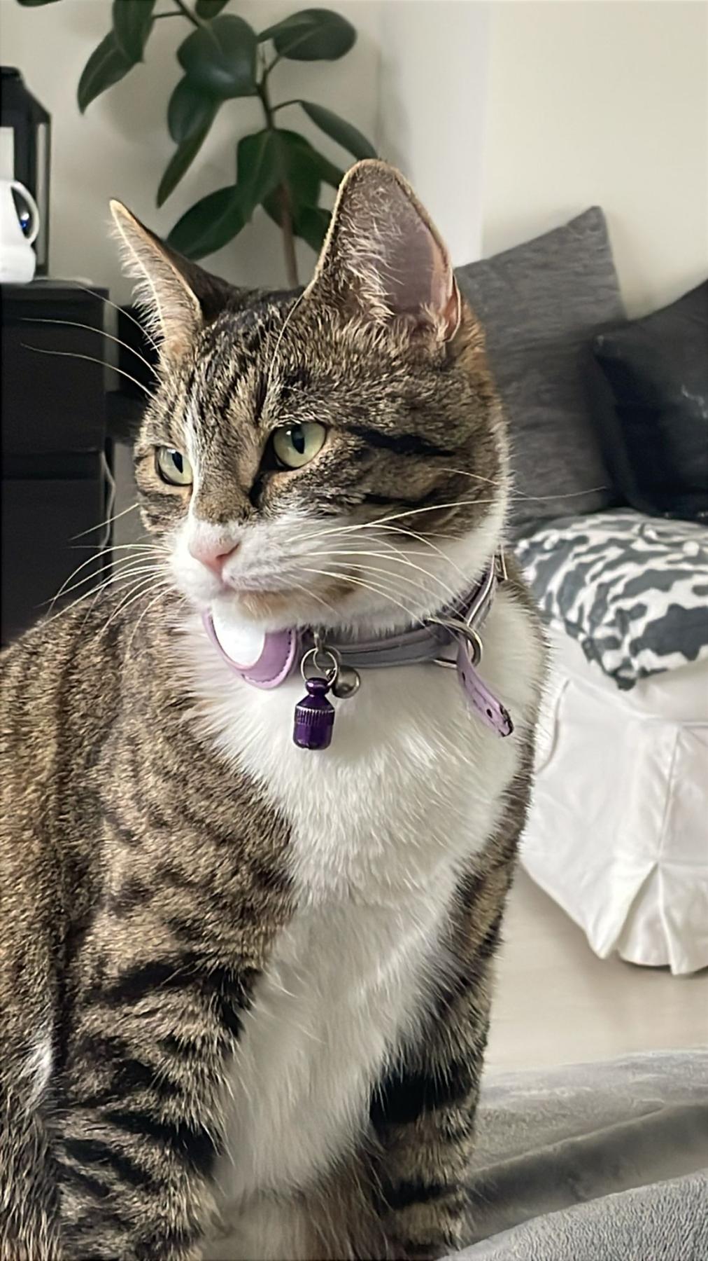 Lilly