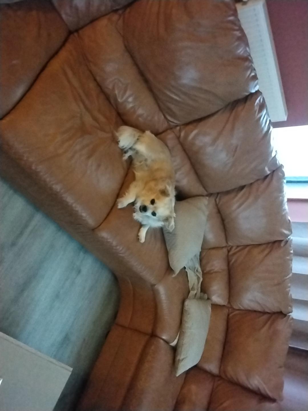 Roxy