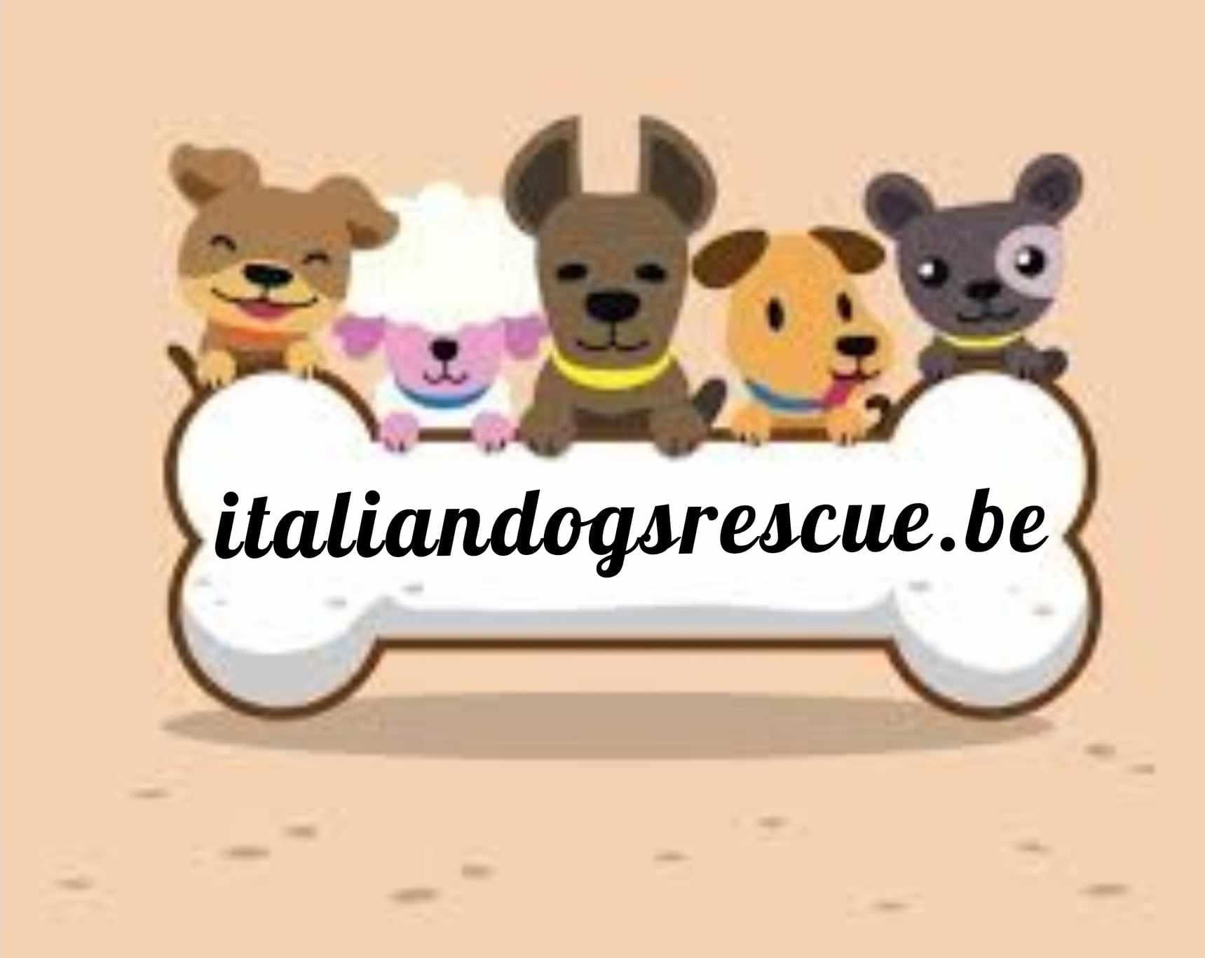 Italiandogsrescue.be
