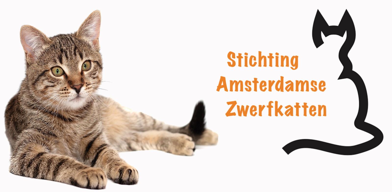 STICHTING AMSTERDAMSE ZWERFKATTEN