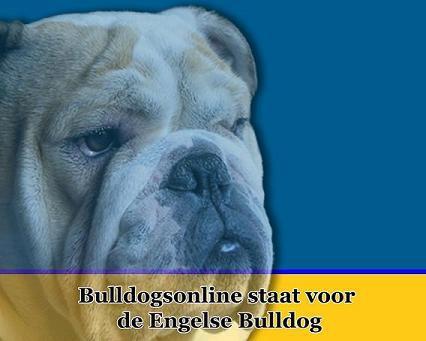 STICHTING BULLDOGSONLINE