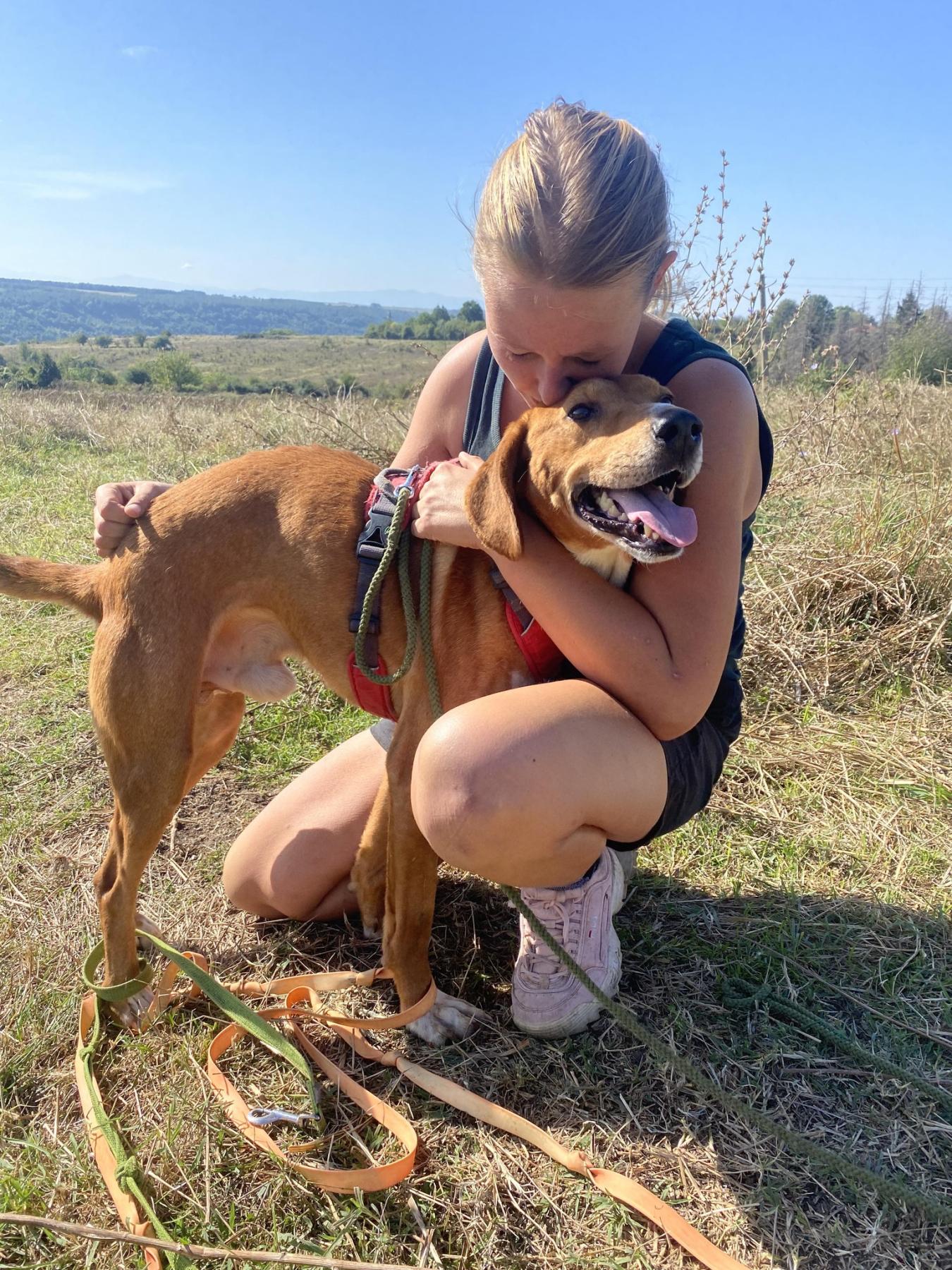 DOG RESCUE BULGARIA