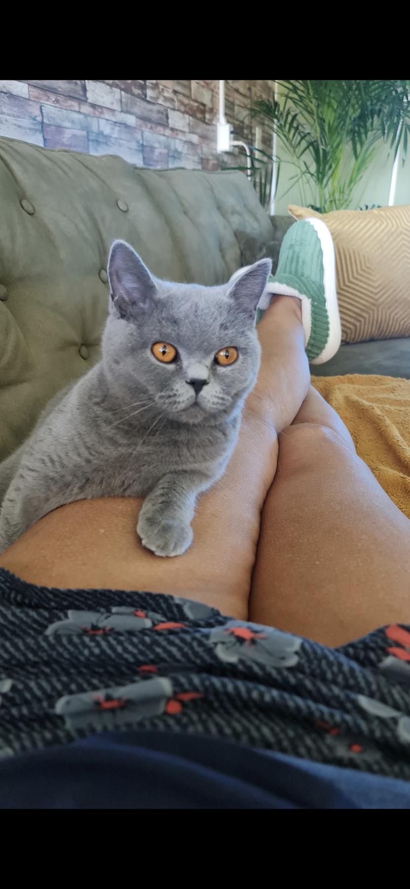 Kyra