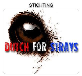 STICHTING DUTCH FOR STRAYS