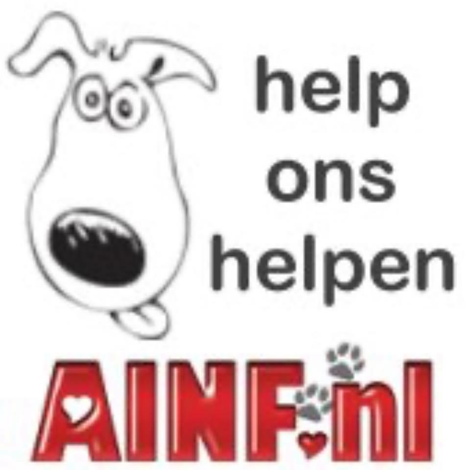 STICHTING ANIMAL IN NEED FOUNDATION