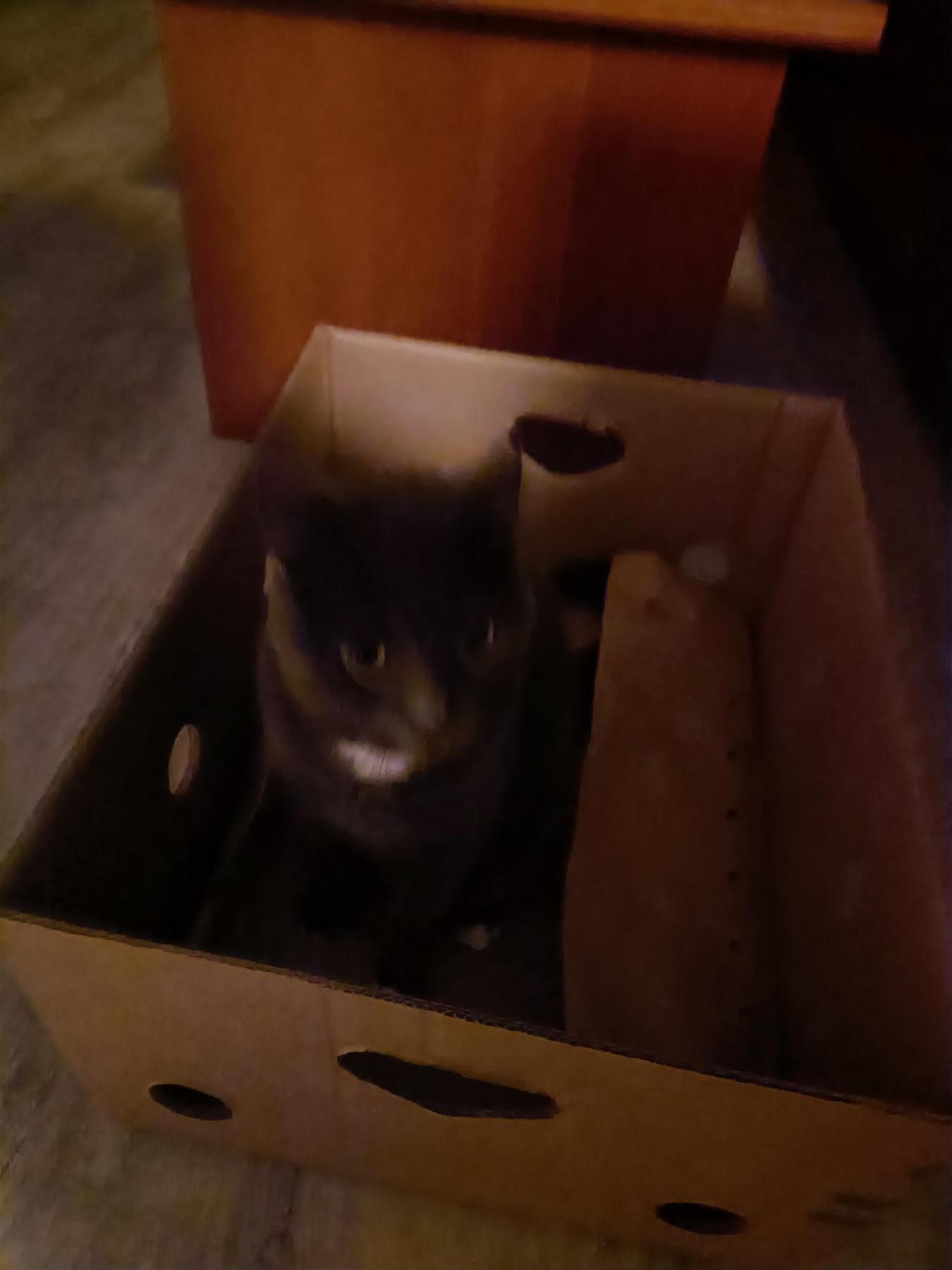Milka