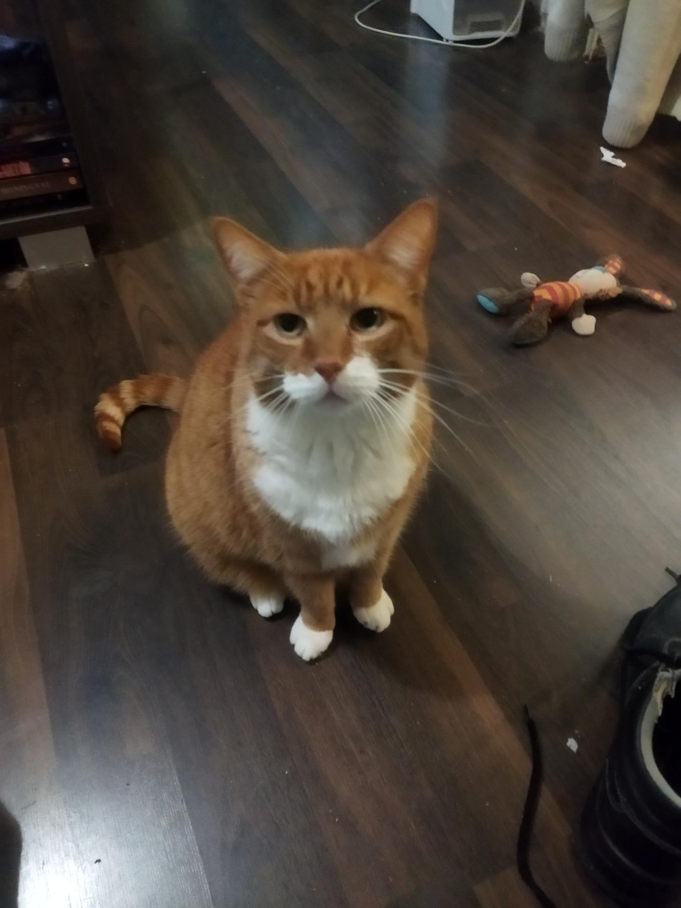 Sammy