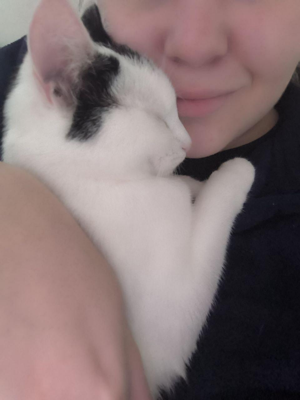 Koetje