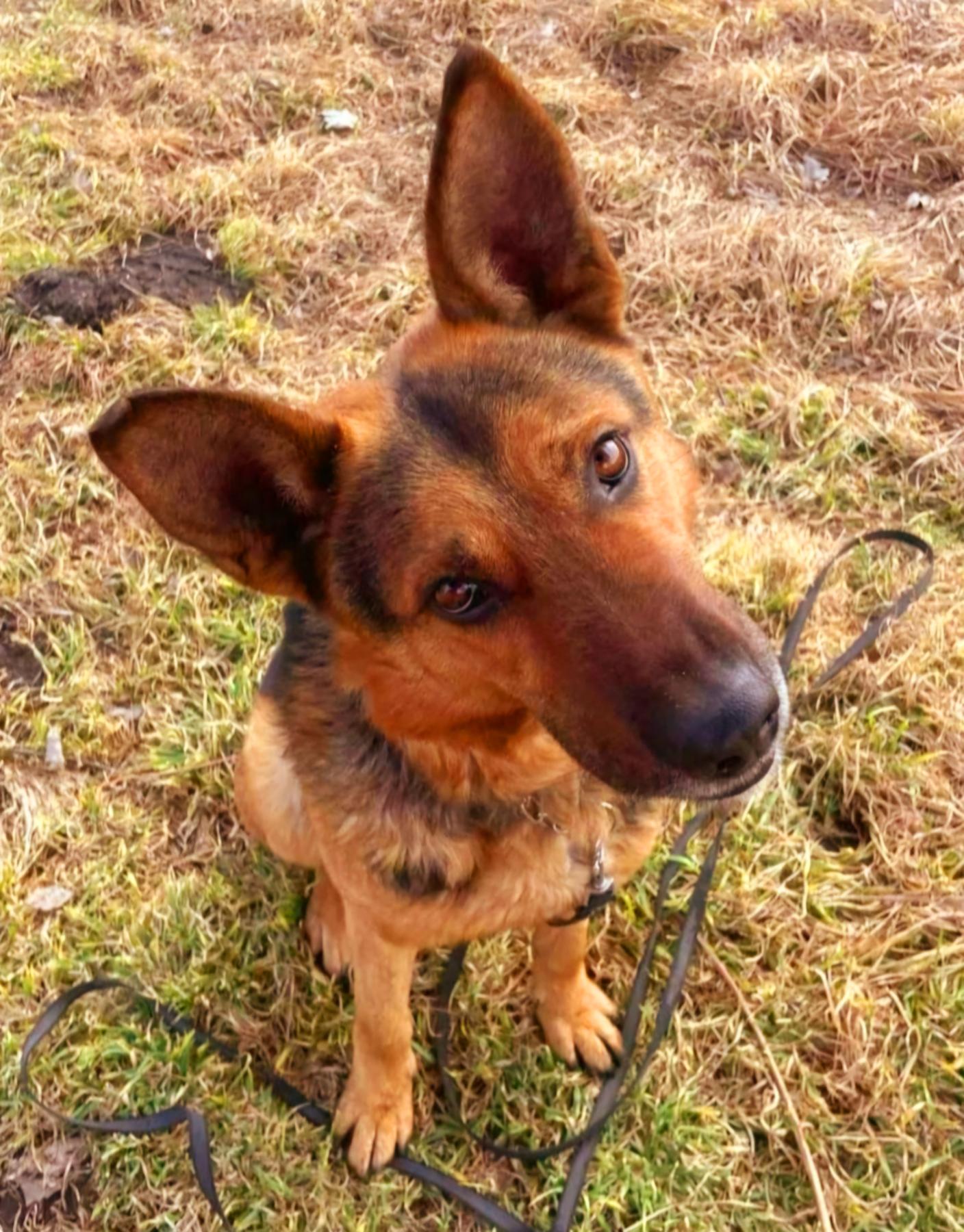 Max