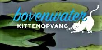 KITTENOPVANG BOVENWATER