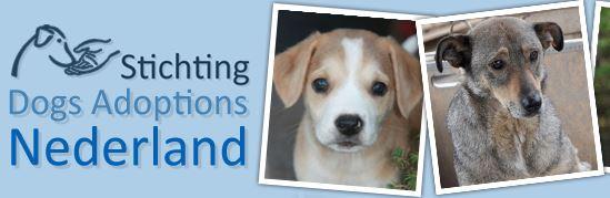 STICHTING DOGS ADOPTIONS NEDERLAND