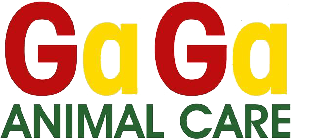 STICHTING GAGA  ANIMAL CARE NEDERLAND