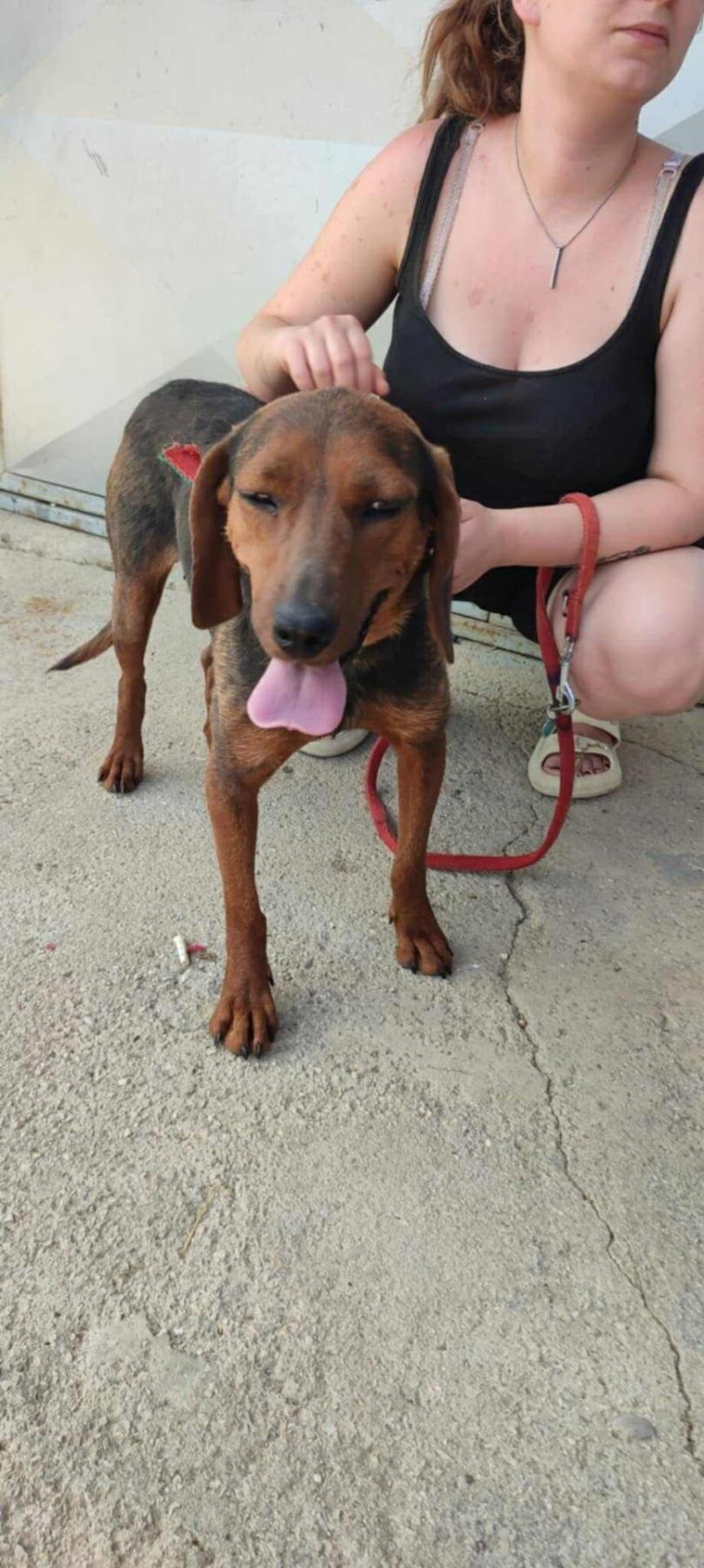 Darla