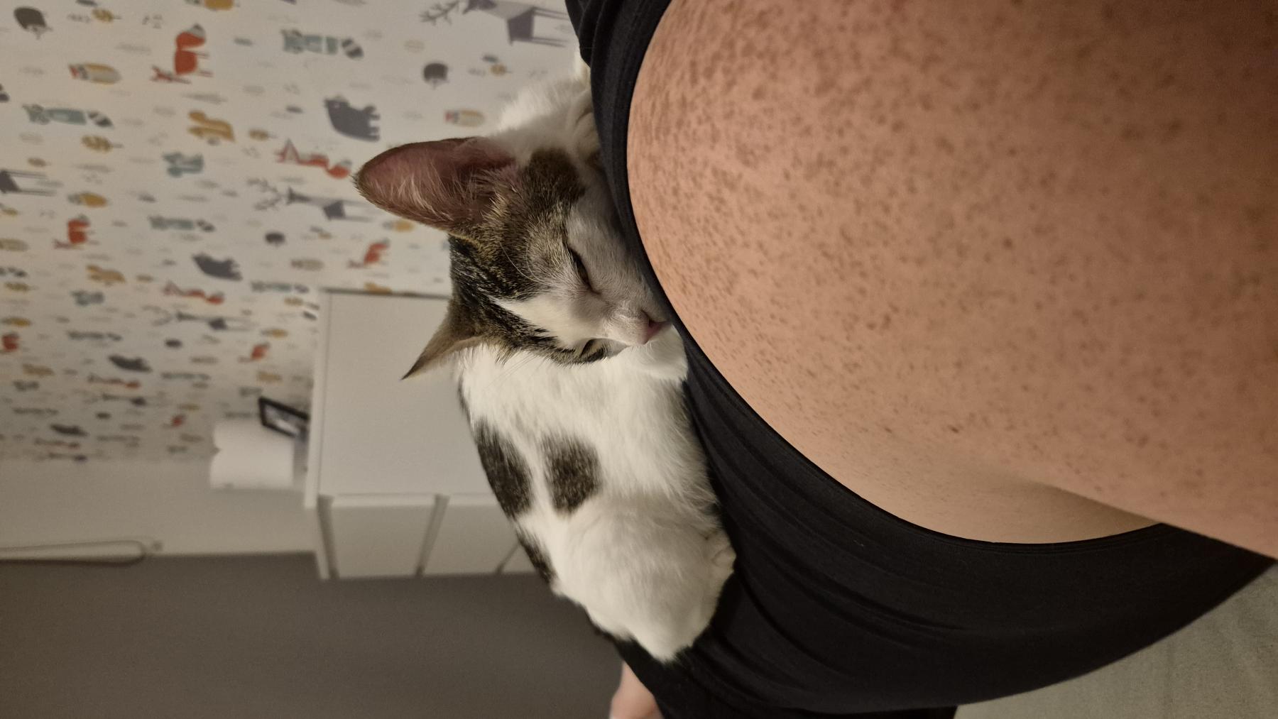 Minnie
