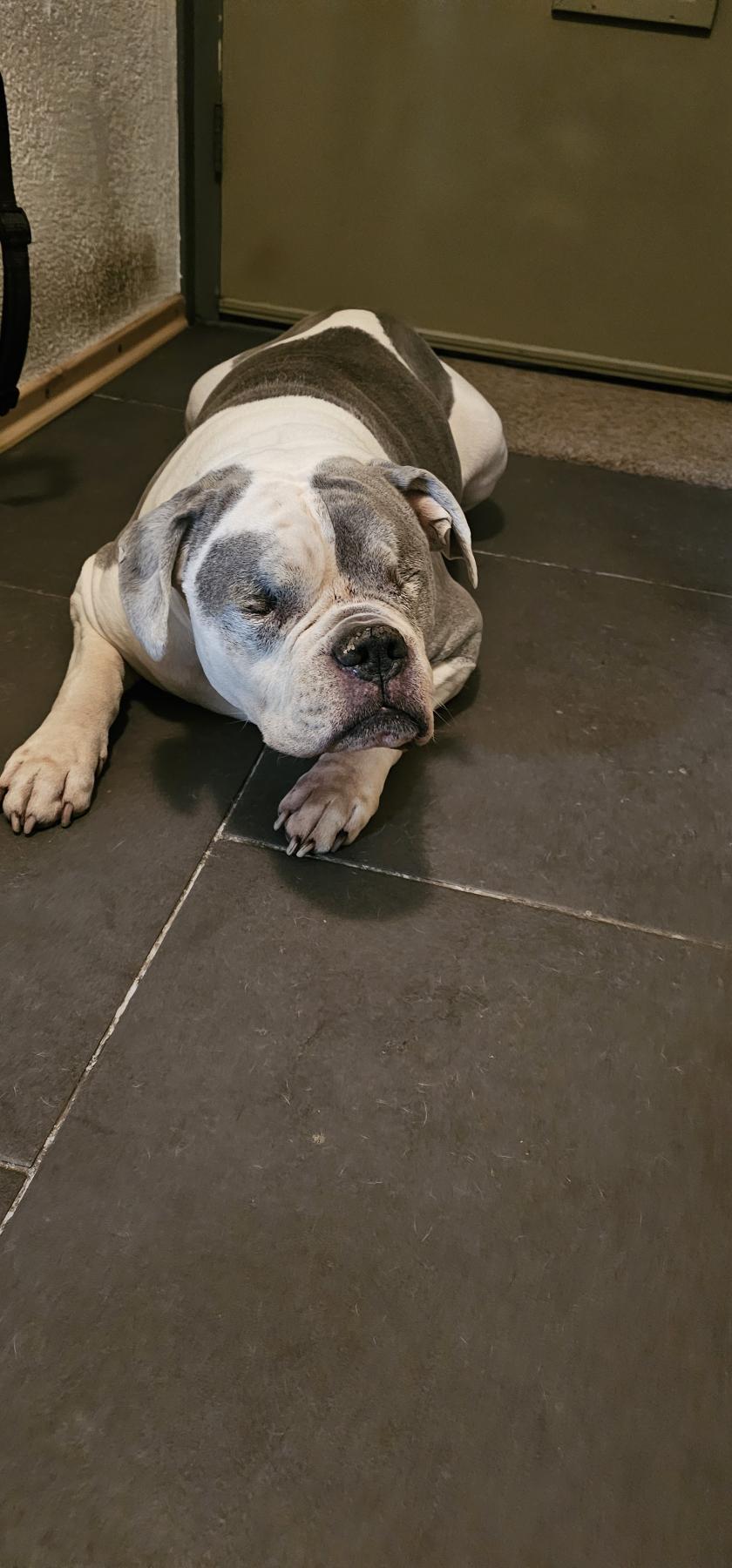 Tyson