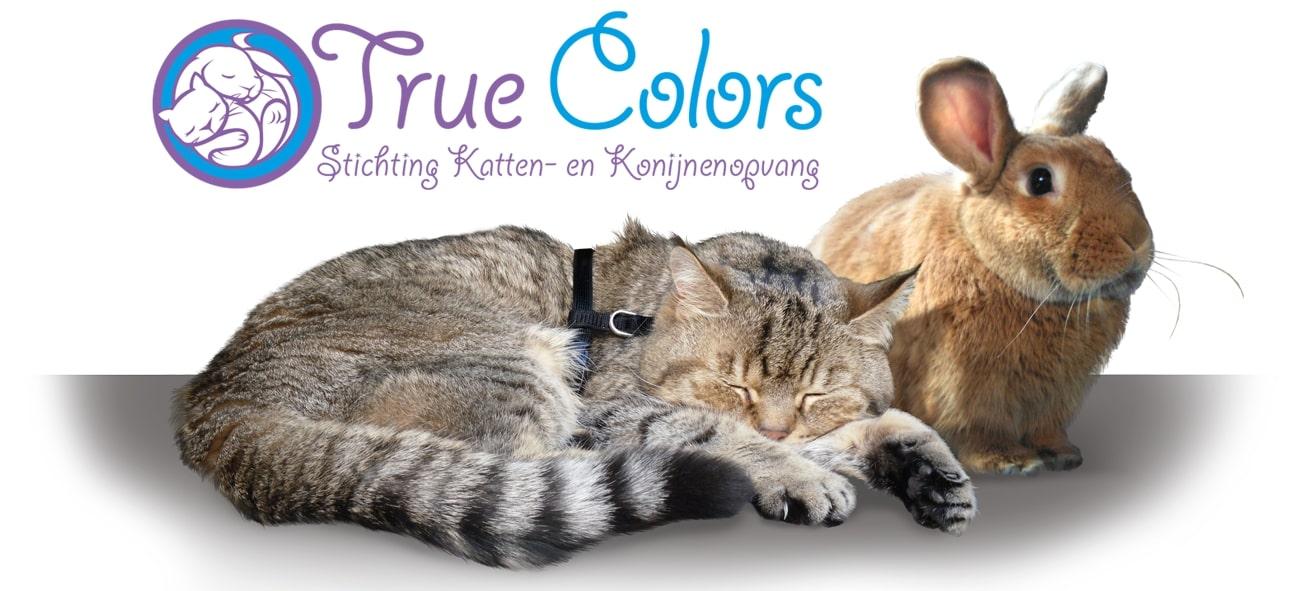 STICHTING KATTEN- EN KONIJNENOPVANG TRUE COLORS