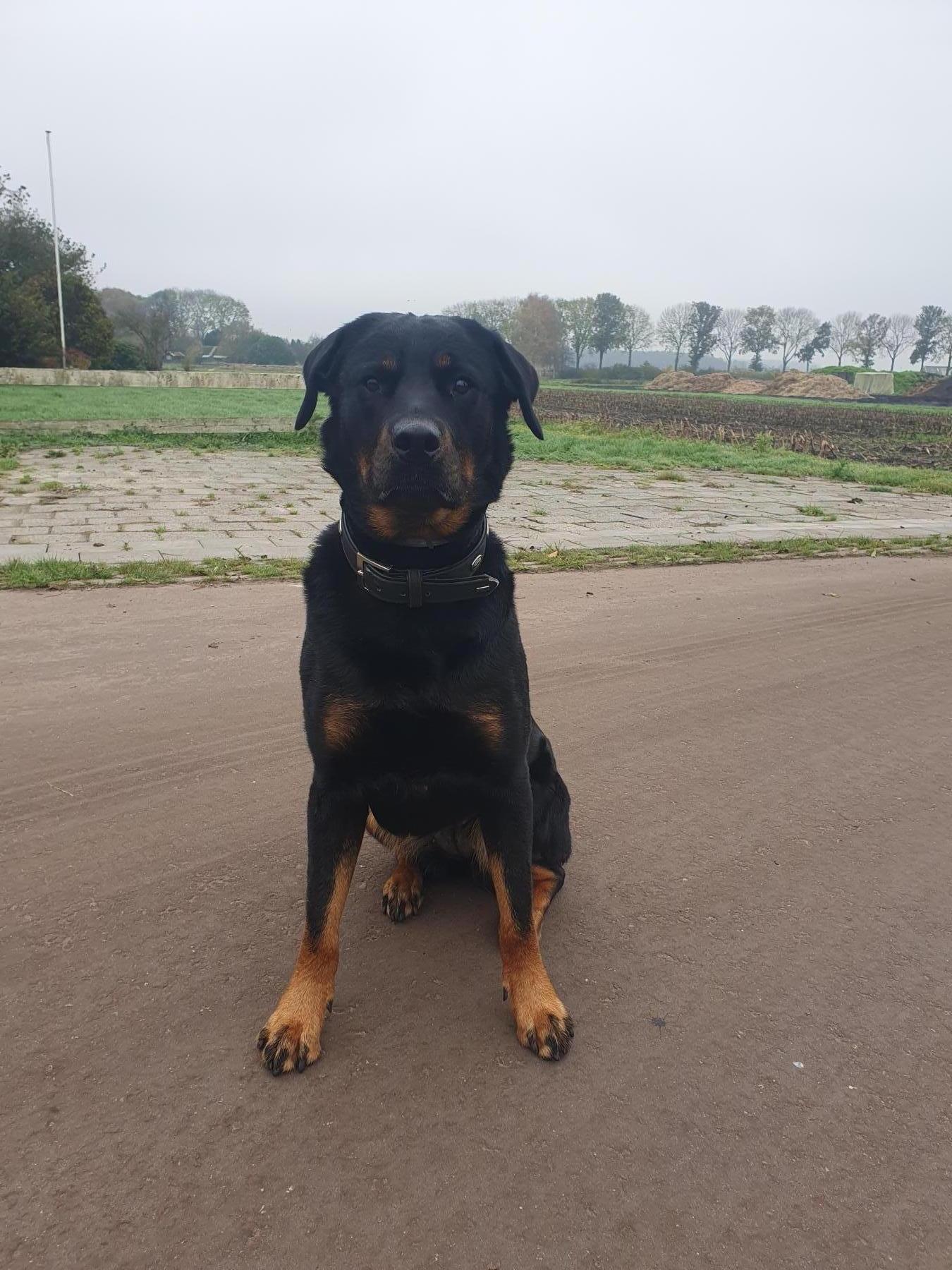 Coco