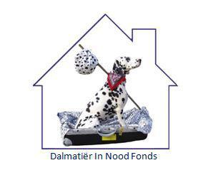 DALMATIER IN NOOD FONDS