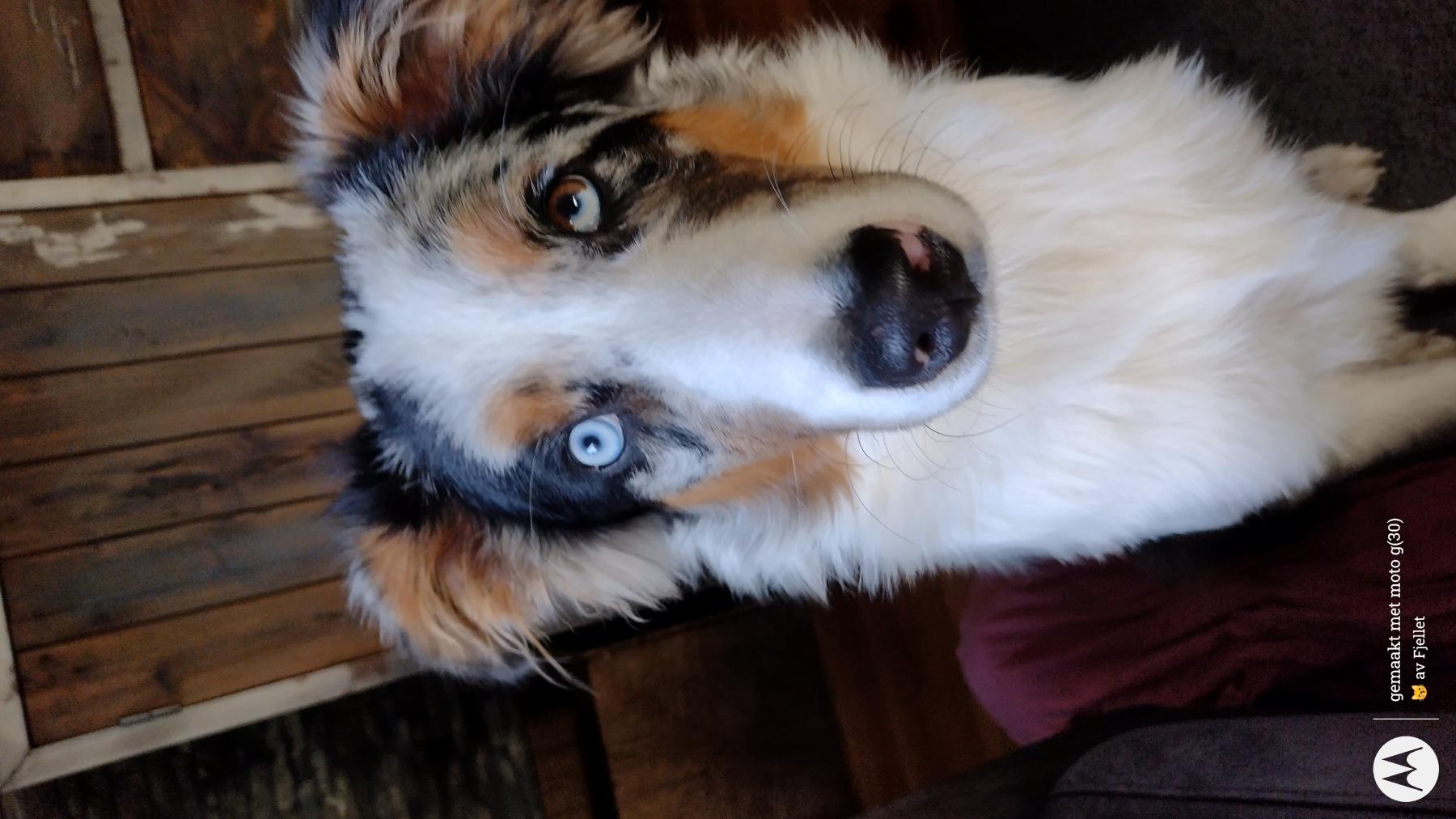 Kai