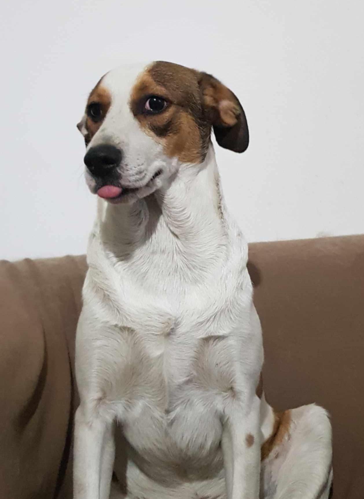 Matei