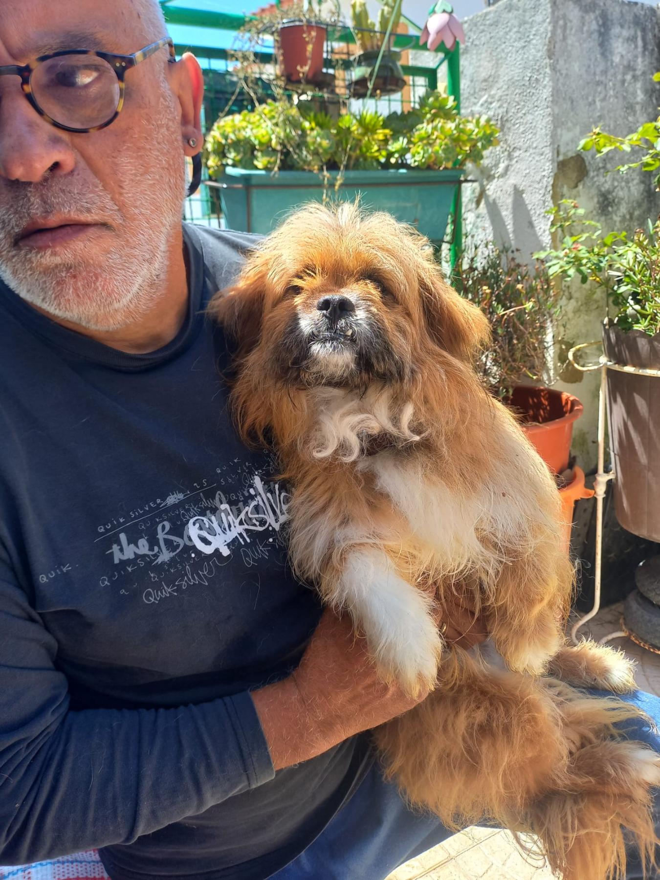 Brutus