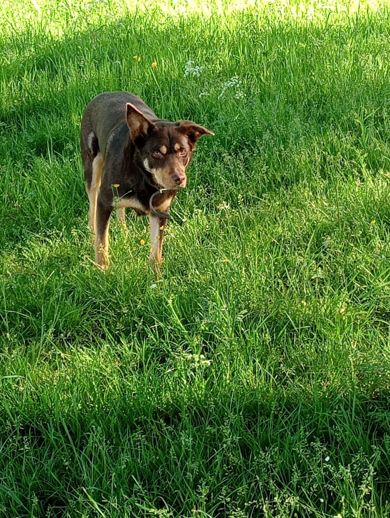 Jack