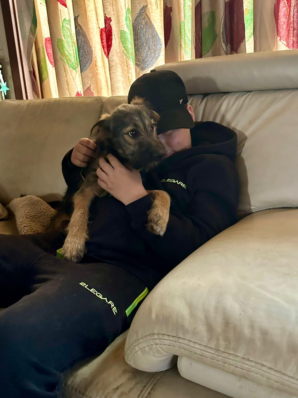 Italiandogsrescue.be