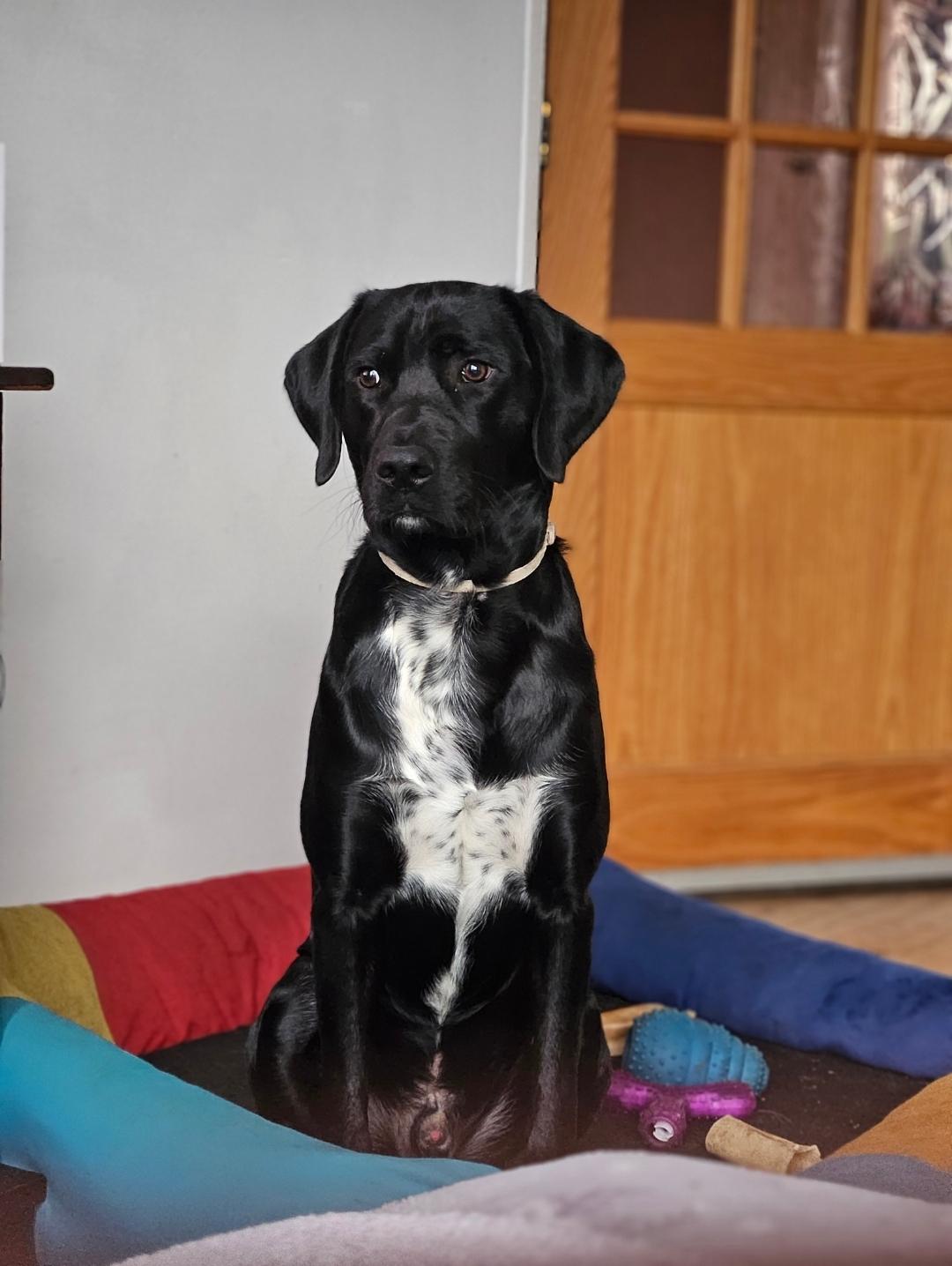 Max