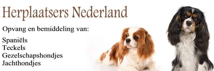 HERPLAATSERS NEDERLAND EN BELGIE