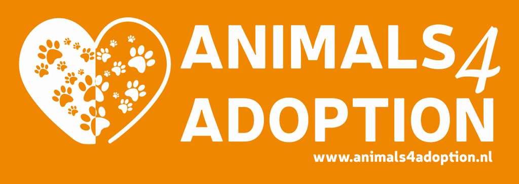 animals4adoption