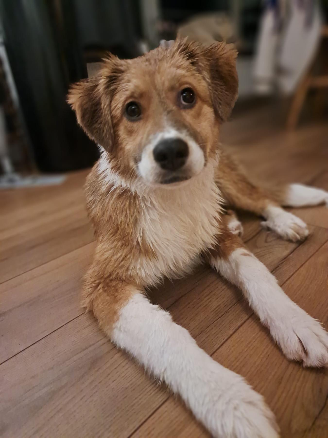 Lilly