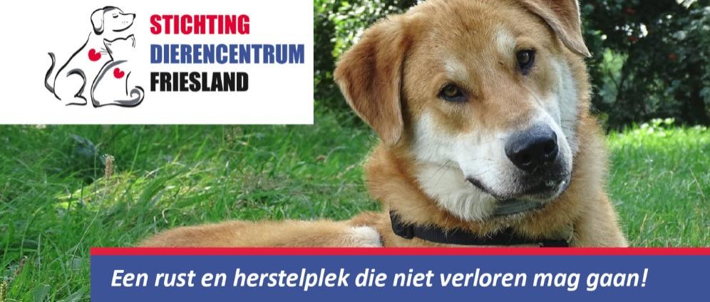 STICHTING DIERENCENTRUM FRIESLAND