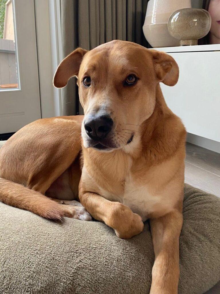 Max
