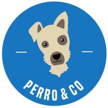 STICHTING PERRO & CO