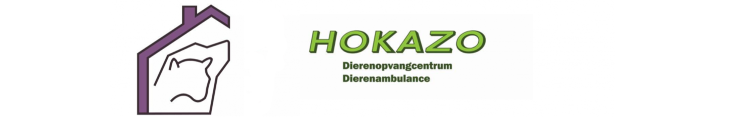 STICHTING HOKAZO