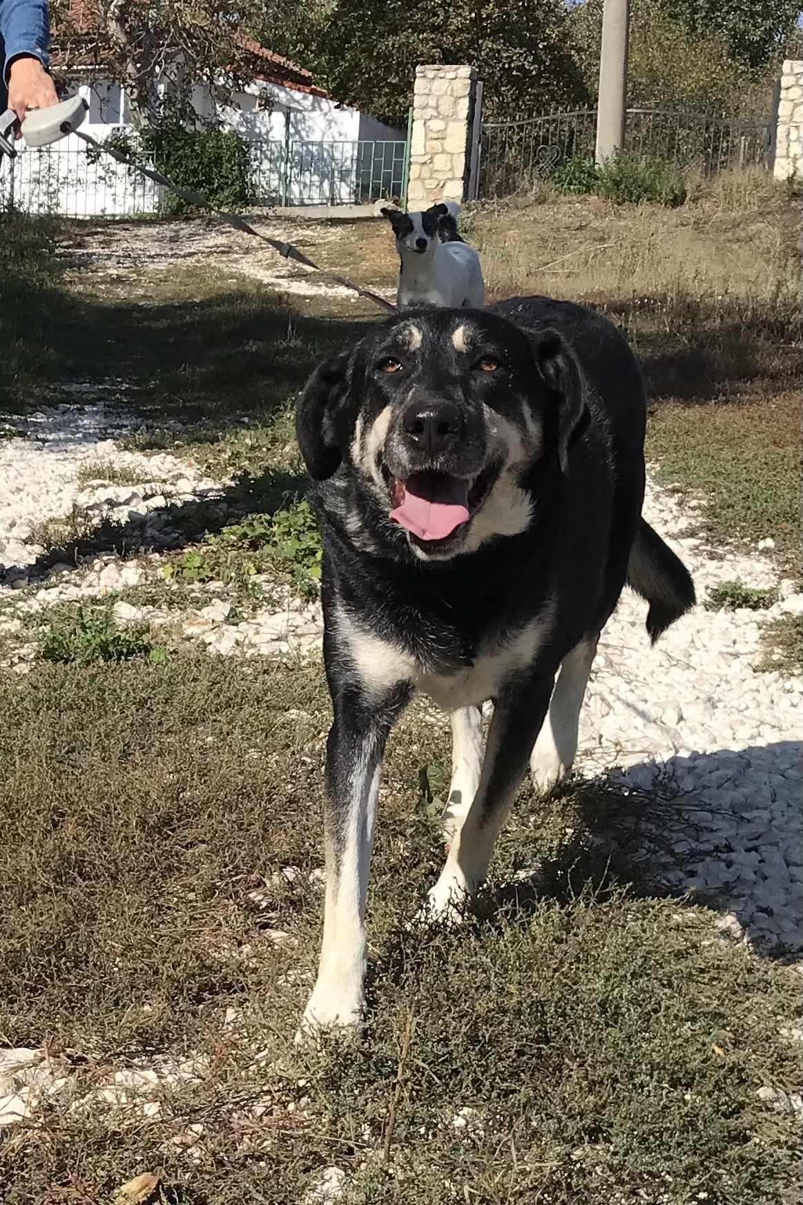 Rita