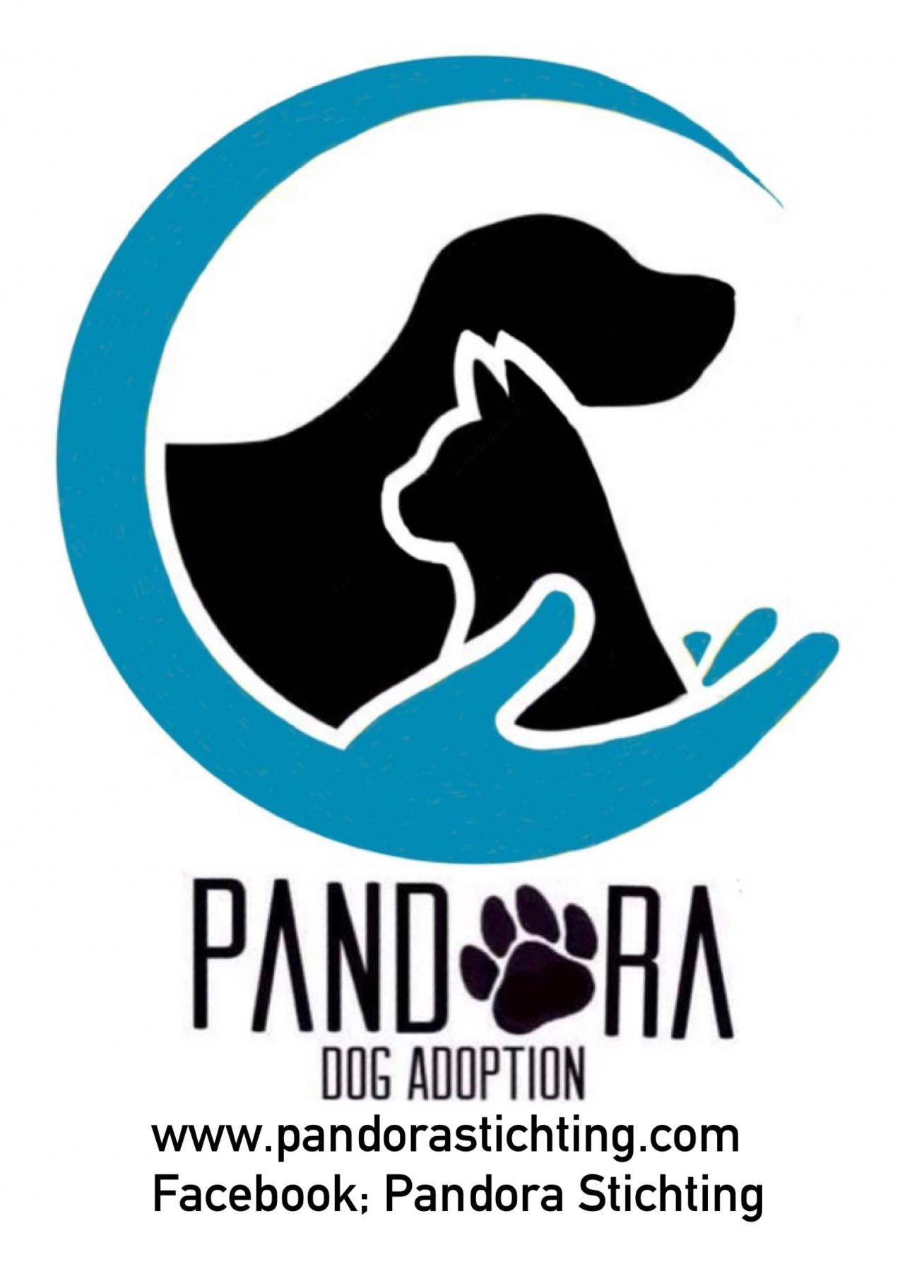 STICHTING PANDORA