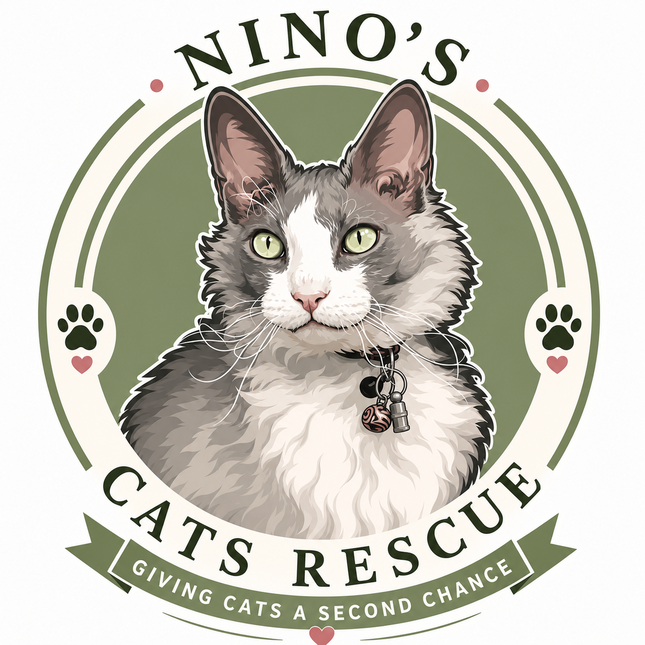 Ninos cats rescue
