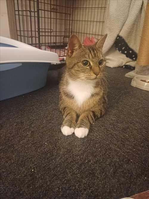 Mimi