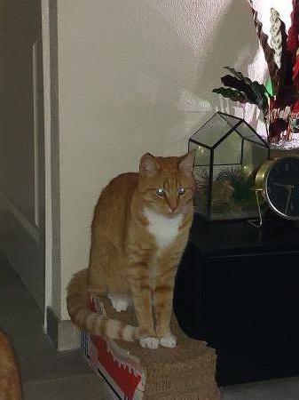 Milo
