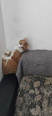 Buddy
