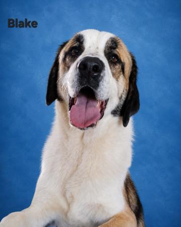 Blake