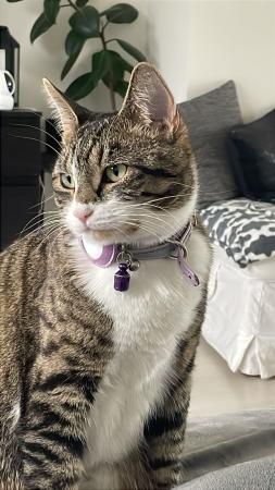 Lilly